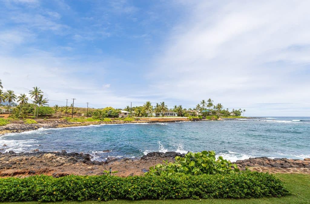 Kuhio Shores 107