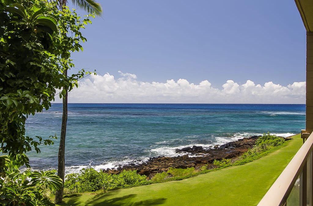 Kuhio Shores 201