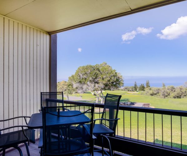 Waikoloa Villages E108
