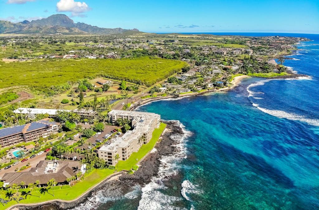 Prince Kuhio 234