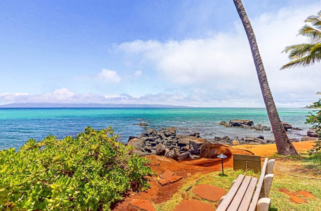 Mahina Surf 119