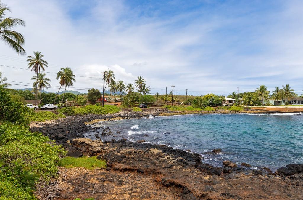 Kuhio Shores 212