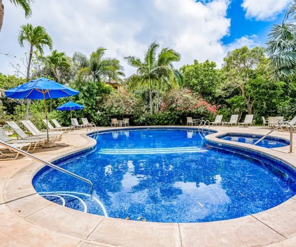 Waikomo Stream Villas 131