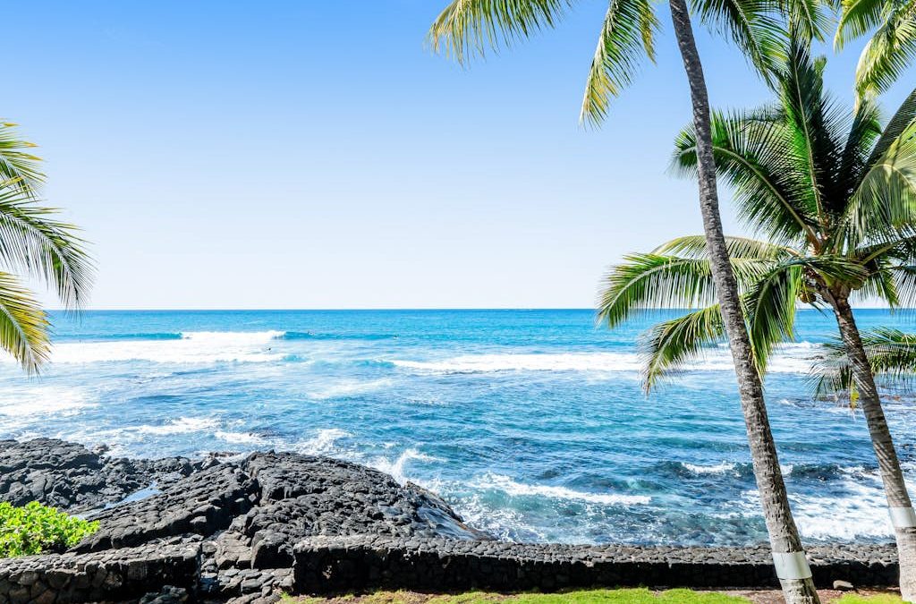 Kona Bali Kai #207