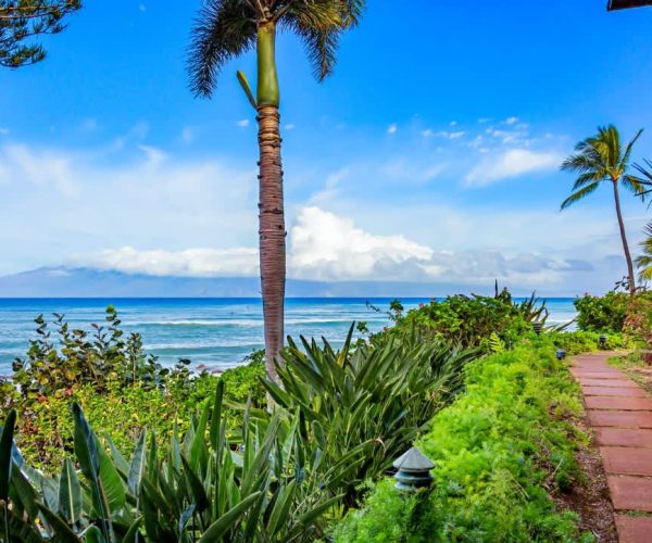 Mahina Surf 206