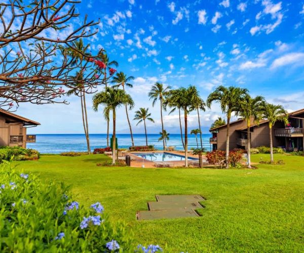 Mahina Surf 114